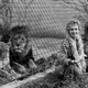 Illustration for article titled It Was the Seventies! Tippi Hedren Once Kept Lions as Pets